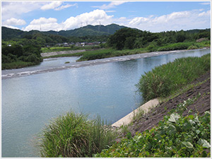 鵜の瀬堰